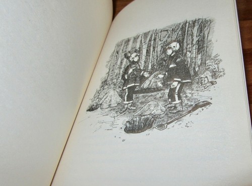 COPPER: A DOG'S LIFE ~ Lady Annabel Goldsmith. 2009 sc UNread HERE in MELB - Foto 11 di 12