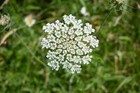 Bild 50 von 336