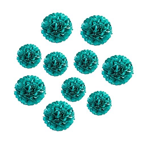 10pcs Paper Pom Poms Tissue Paper Flower Art Craft DIY Hanging Flower for Par... - Bild 1 von 2