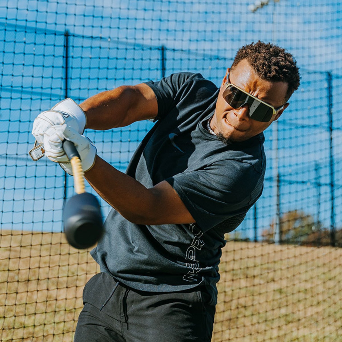Hitting Practice System Rope Bat Baseball Trainer With 12 Balls - Swing ...