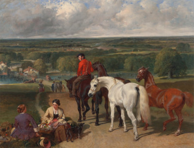 John Frederick Herring : ''Exercising the Royal Horses'' - Fine Art Print
