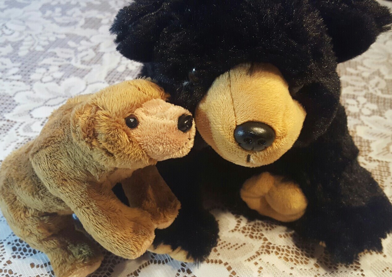 Stuffies Wild Republic Black Bear National Geographic Baby Grizzly Brown Bear