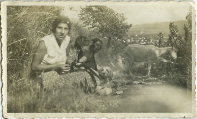 ANTIQUE PHOTO - VINTAGE SNAPSHOT - ANIMAL GOAT FUNNY DOG - GOAT DOG FUNNY