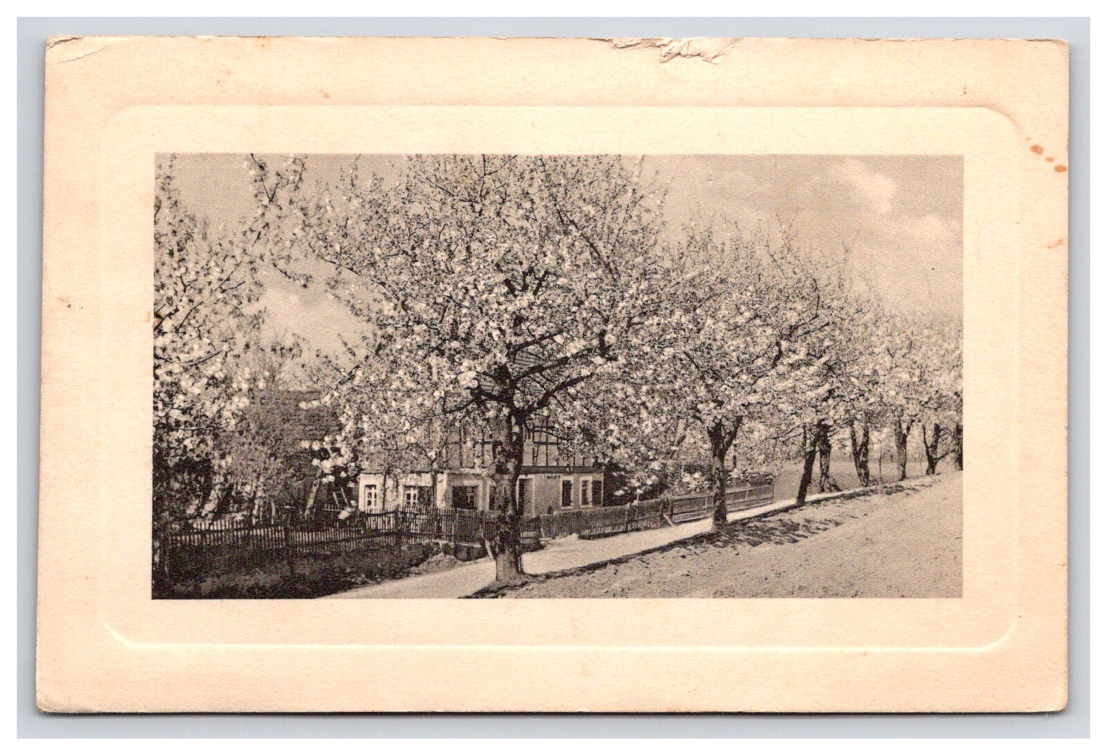 Foto 1 di 2