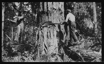 Foto ZWEI HOLZFÄLLER FÄLLEN EINEN MASSIVEN BAUM UM 1920 Magisches Laternendia
