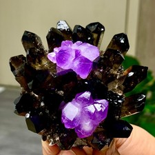 286G New Find black Phantom Quartz with amethyst Crystal Cluster Mineral