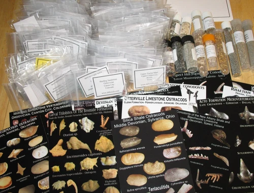 Microfossil microscope Matrix fossil Collection Cambrian to Recent 150 samples