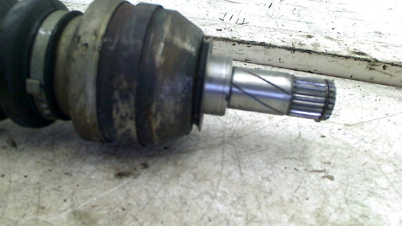 Afbeelding 2 van 3