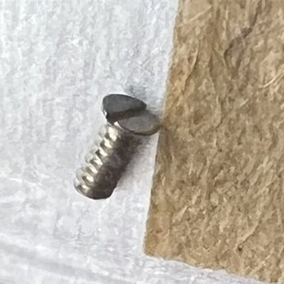 Generic Watch Parts 3135-5013 Dial Screw Replacement for RLX 3135 Automatic Move