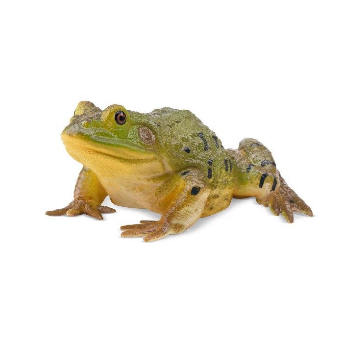 Toymany ML00387 North American Bullfrog 6,4 cm Reptile Kingdom Action Figure