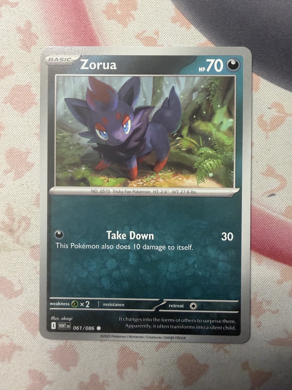 Zorua Common SV: White Flare 061/086 NM English Pokemon Card