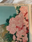 Vintage Print ~vibrant-“Le Secret “ A. Chaxelle Switzerland Series 454 No. 1 — photo 6