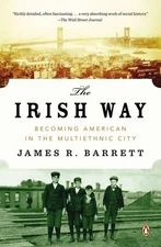The Irish Way: Becoming American in the Multiethnic City (The Penguin Histor...