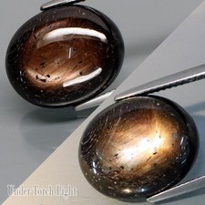 19.52Ct.Awesome Natural BIG 6Rays Golden Black Star Sapphire BangKacha,Thailand