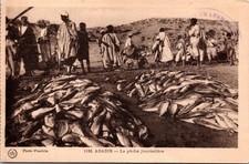 La pêche journalière Daily Fishing Catch Agadir Morocco DB Postcard XH11