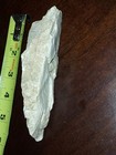 Chrinoid Fossil in Rock Matrix Specimen with Circular Impression, Approx. 6"x 1" — photo 6