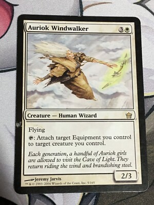 C5943 MAGIC MTG FIFTH DAWN AURIOK WINDWALKER #5 HP RARE