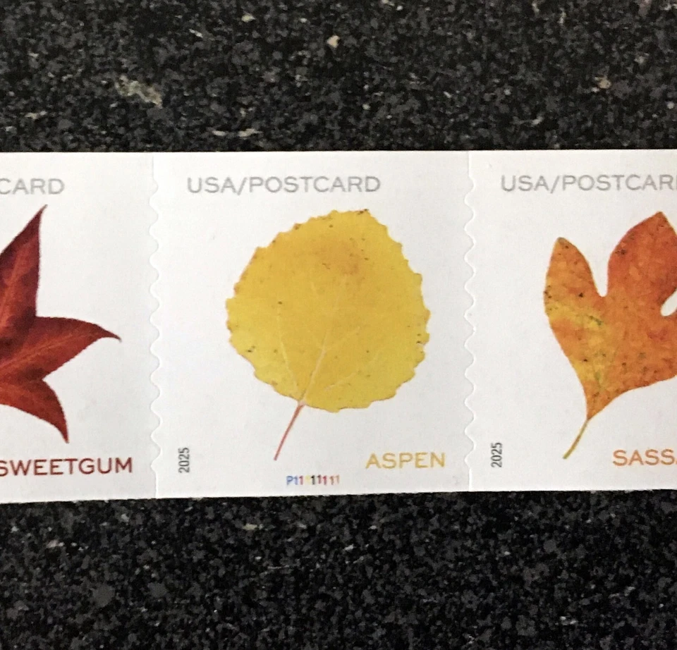 2025USA #5971-5975 Postcard Rate Vibrant Leaves - PNC Coil Strip of 5 - Image 2 of 2