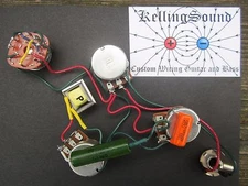 Gibson Ripper Harness With Choke Bourns Pots Custom KellingSound