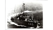 WWII US Navy Admirable Class Minesweeper Photo Hull 443 c. 1940s Warship Ship