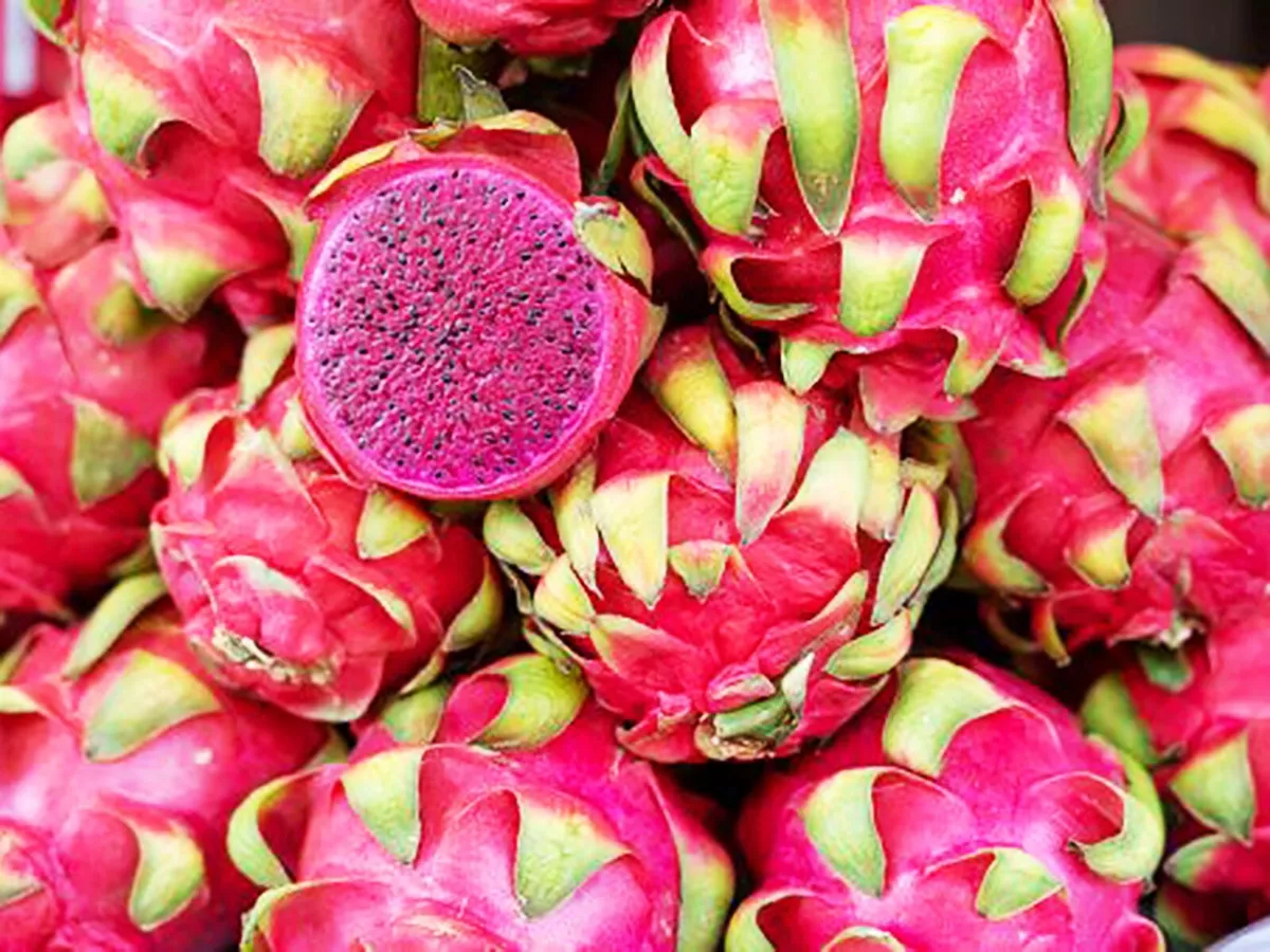 Fresh Red Dragon Fruit