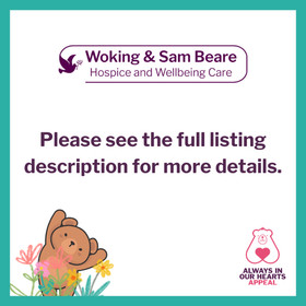 Vintage SEGA Dreamcast Phantasy Star Online In Case