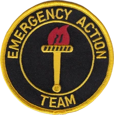 METROPOLITAN POLICE DEPARTMENT SHOULDER PATCH: Emergency Action Team, Hill St...