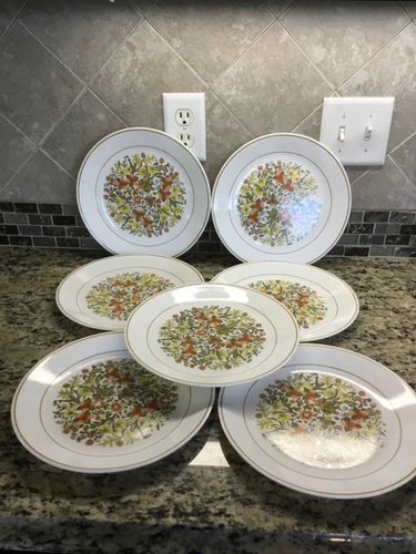 Vintage Set Of 7 Corelle by Corning INDIAN SUMMER Dinner Plates (10.25”)