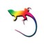 ameiva-apparel