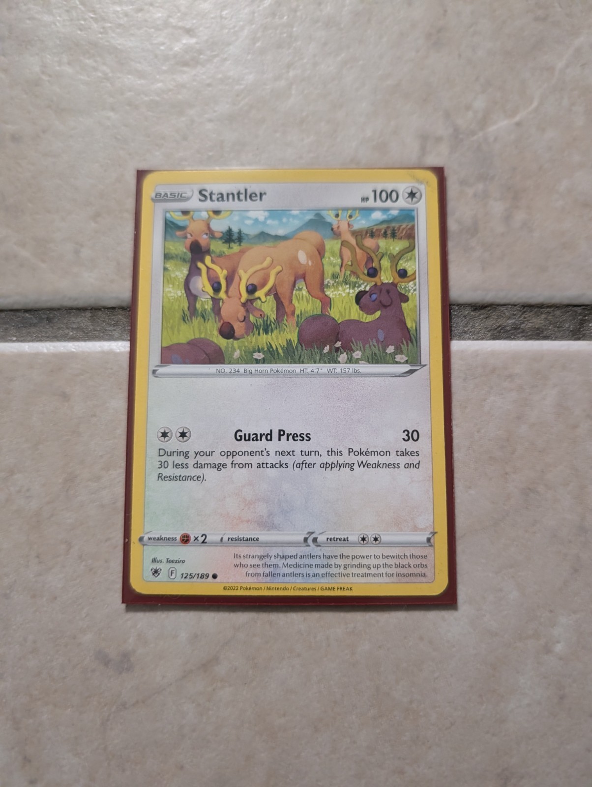 Stantler - 125/189 - Common - Near Mint