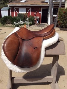 Antares Jumping Saddle, 16.5"
