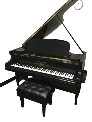 Taiga　2種計5枚　スタインウェイ Steinway デカール Taiga 2種計5枚 スタインウェイ Steinway デカール Side decal