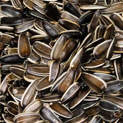 Sonnenblumenkerne gestreift XXL extra große Kerne Premiumqualität Paul's Mühle