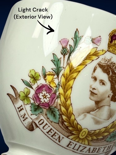Reina Isabel Coronación 1953 Taza de té y platillo Rosas de porcelana de hueso toscano - Imagen 11 de 17