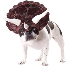 'triceradog' costume S Triceratops dinosaur costume small