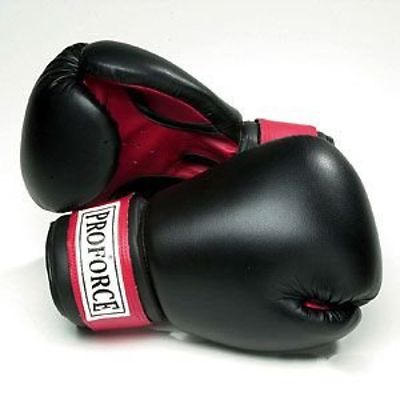 PROFORCE 12 OZ BOXING GLOVES NEW IN PACKAGE