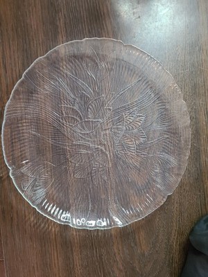 Vintage Arcoroc Canterbury Crocus Dinner Plate Embossed Clear Glass
