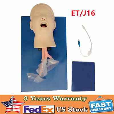 Intubation Manikin Oral Nasal Training Teaching Model Airway Management Trainer