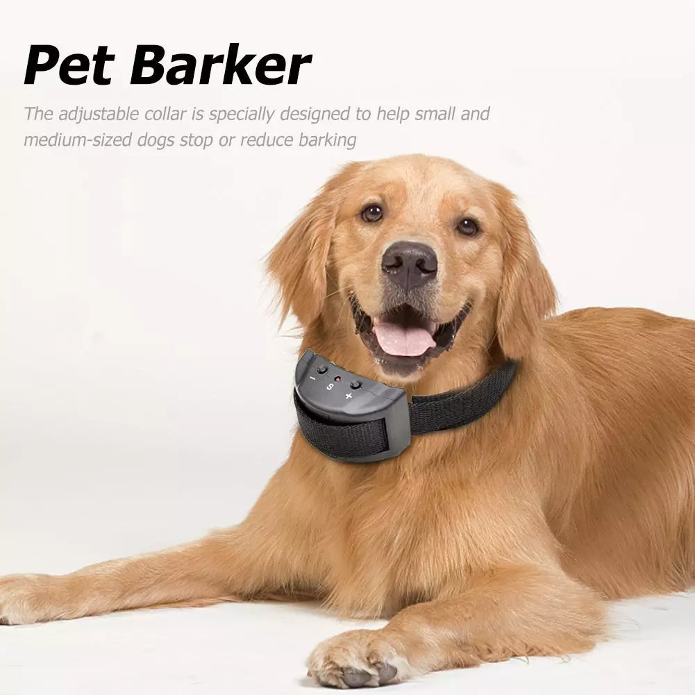 Anti bark collar takealot sales