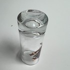 Foto 5 di 5