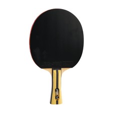 DHS Sports 4 Star Table Tennis Racket H4002 - Shakehand, ITTF Approved Paddle