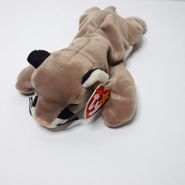 canyon beanie baby