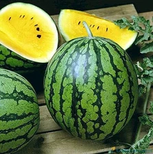 Seeds Watermelon Yellow Janusik Vegatable Fruit Rare NON-GMO Organic Heirloom