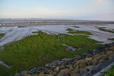 Photo 6x4 Newport District : Severn Estuary Summerleaze Looking out acros c2017