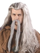Fun World Men's Long Gray Wizard Wig
