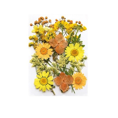 Trockenblumen DIY Material für Handwerk und Blumen Home Dekoration Projekte