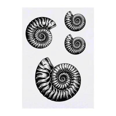 AZEEDA 4 x 'Ammonite Fossil' Temporary Tattoos / Transfers (TO00087494)