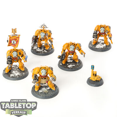 Space Marines - 5 x Terminator Squad klassisch - bemalt