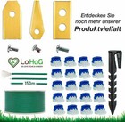 Bild 5 von 6