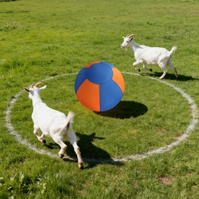 Herding Ball for Dogs   Heavy Duty Training Toy for Medium Large Breeds